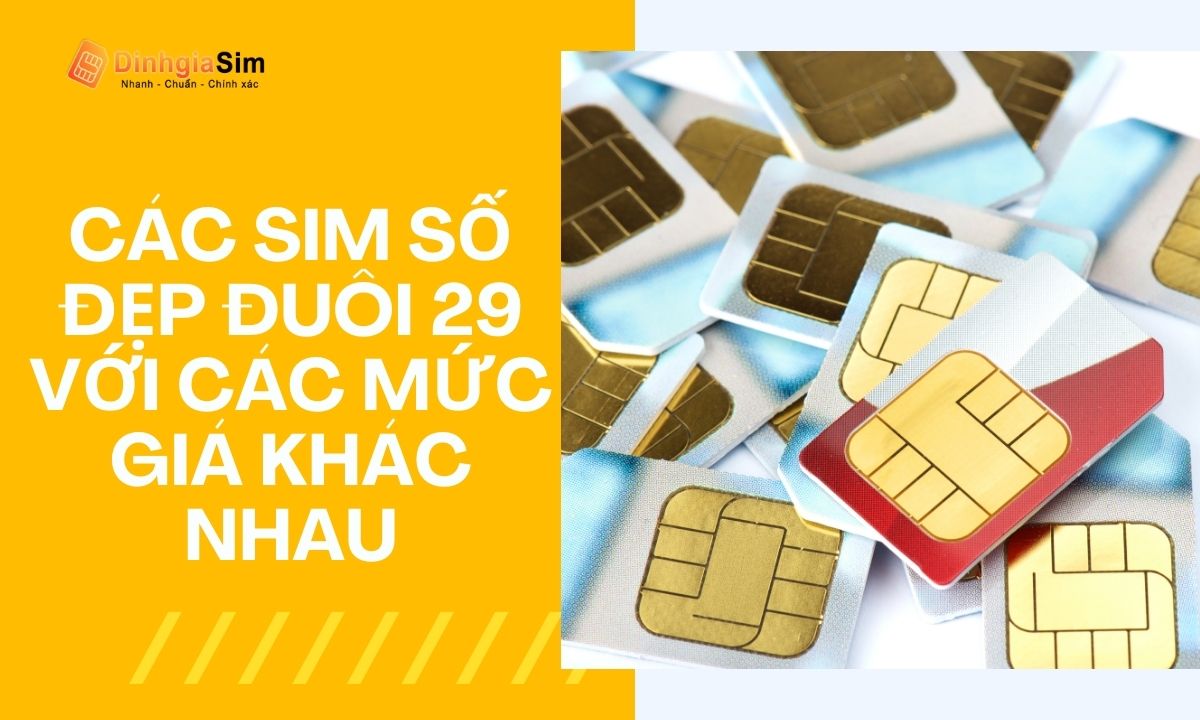 Các sim số đẹp đuôi 29 với các mức giá khác nhau